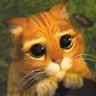 Avatar de Usuario