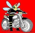 Avatar de Usuario