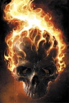 Avatar de Usuario