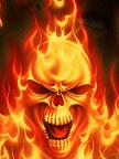 Avatar de Usuario