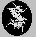Avatar de Usuario