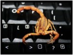 Avatar de Usuario