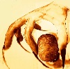 Avatar de Usuario