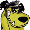 Avatar de Usuario