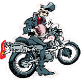 Avatar de Usuario