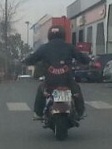 Avatar de Usuario