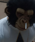 Avatar de Usuario