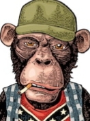 Avatar de Usuario