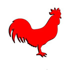 Avatar de Usuario