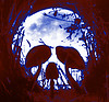 Avatar de Usuario