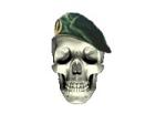 Avatar de Usuario