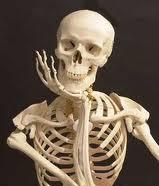 Avatar de Usuario