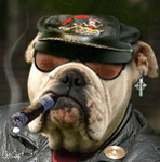 Avatar de Usuario