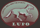 Avatar de Usuario